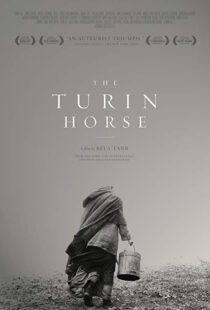 دانلود فیلم The Turin Horse 201110493-748197015