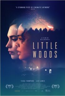 دانلود فیلم Little Woods 201822292-1622692506