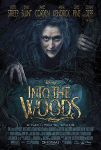 دانلود فیلم Into the Woods 20143675-966730184