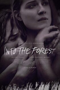 دانلود فیلم Into the Forest 20159776-1425662301
