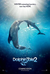 دانلود فیلم Dolphin Tale 2 201421312-554412536