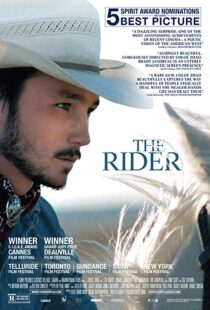 دانلود فیلم The Rider 20174944-1873697289