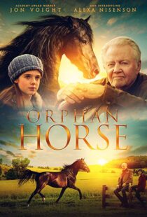 دانلود فیلم Orphan Horse 20188125-426243892