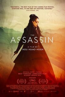 دانلود فیلم The Assassin 201513760-991983061