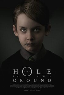 دانلود فیلم The Hole in the Ground 20196544-38565954