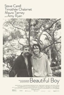 دانلود فیلم Beautiful Boy 201819853-82827688