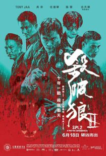 دانلود فیلم Kill Zone 2 20151845-1690640694