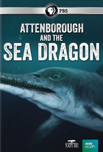 دانلود مستند Attenborough and the Sea Dragon 20188753-1829557224