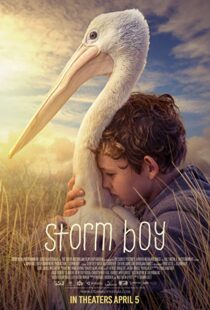 دانلود فیلم Storm Boy 20199003-630335462