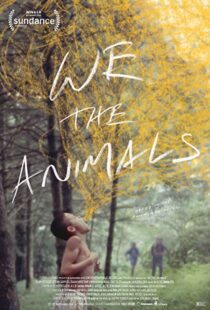 دانلود فیلم We the Animals 20184693-1341630530