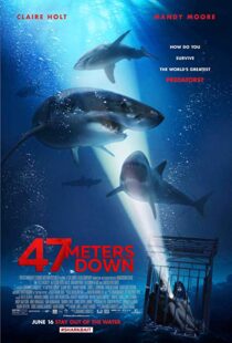 دانلود فیلم 47 Meters Down 20177231-1362711211