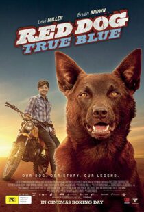 دانلود فیلم Red Dog: True Blue 20168899-676713152