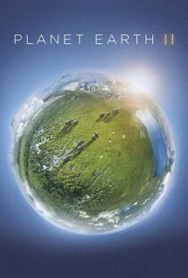 دانلود مستند Planet Earth II58204-793596403
