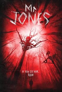 دانلود فیلم Mr. Jones 201337611-1691139983