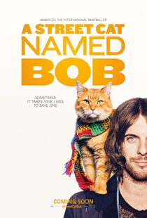 دانلود فیلم A Street Cat Named Bob 201641621-875779854