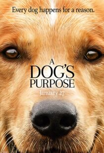 دانلود فیلم هندی A Dog’s Purpose 201741616-774755106
