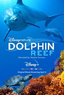 دانلود مستند Dolphin Reef 201838724-215257478