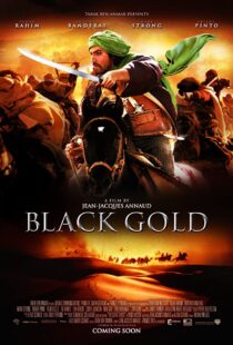 دانلود فیلم Day of the Falcon 201144386-435590614