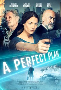 دانلود فیلم A Perfect Plan 202043957-694801252