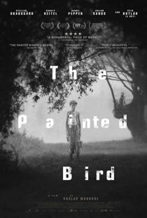 دانلود فیلم The Painted Bird 201943285-911182960