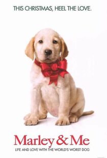 دانلود فیلم Marley & Me 200849029-325545194