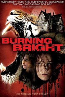 دانلود فیلم Burning Bright 201049964-1018005842
