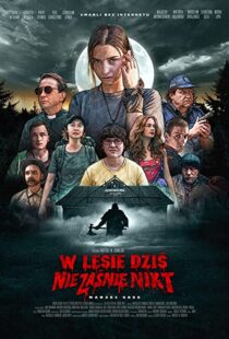 دانلود فیلم Nobody Sleeps in the Woods Tonight 202053095-1422687850