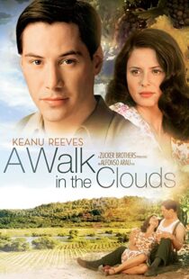 دانلود فیلم A Walk in the Clouds 199553815-1086950097