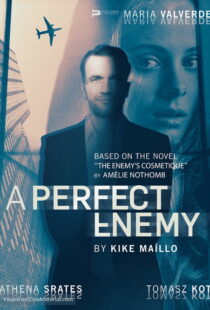 دانلود فیلم A Perfect Enemy 202082295-1184436928
