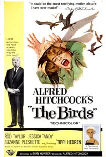 دانلود فیلم The Birds 196382372-1484495921