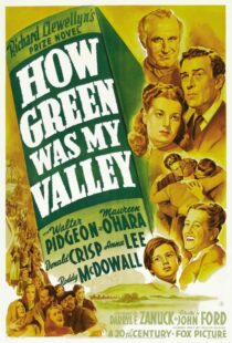 دانلود فیلم How Green Was My Valley 194181855-1296173835