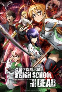 دانلود انیمه Highschool of the Dead95235-1426059582