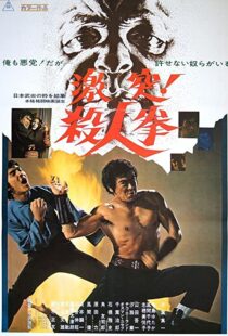 دانلود فیلم The Street Fighter 197483791-1710211405