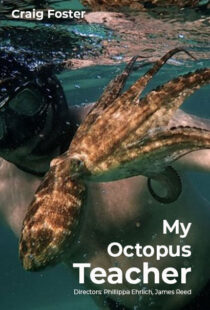 دانلود مستند My Octopus Teacher 202082343-442086989