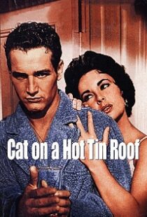 دانلود فیلم Cat on a Hot Tin Roof 195885727-1948469046