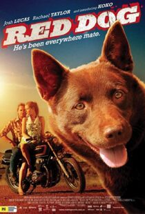 دانلود فیلم Red Dog 201187414-1114154813