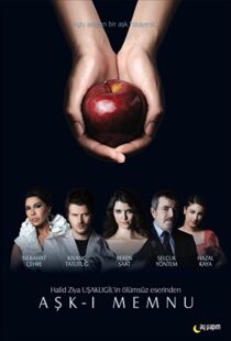 دانلود سریال Forbidden Love94309-776013016