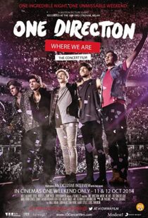 دانلود مستند One Direction: Where We Are – The Concert Film 2014100436-2019132369