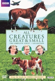 دانلود سریال All Creatures Great and Small94610-852734620