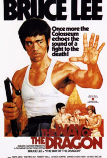 دانلود فیلم The Way of the Dragon 197297592-996809017
