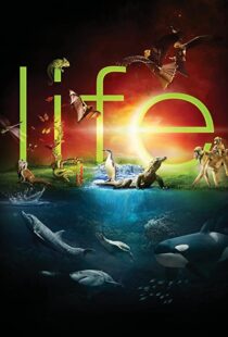 دانلود مستند Life96080-186118258