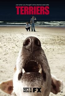 دانلود سریال Terriers100032-701421944