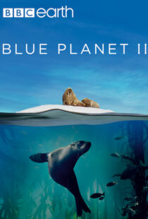 دانلود مستند Blue Planet II100194-1023814889