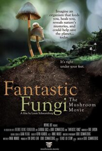 دانلود مستند Fantastic Fungi 2019100518-1139159201