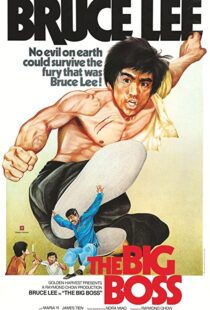 دانلود فیلم The Big Boss 197197560-136712934