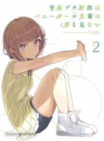 دانلود انیمه Rascal Does Not Dream of Bunny Girl Senpai95225-1004044668
