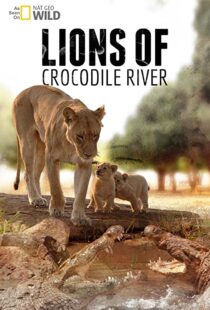 دانلود مستند Lions of Crocodile River 2007103328-26131204