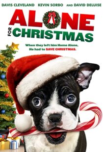 دانلود فیلم Alone for Christmas 2013107883-1153492456
