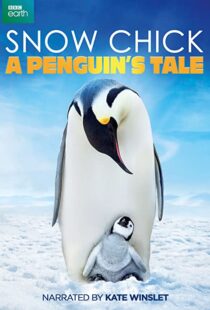 دانلود مستند Snow Chick: A Penguin’s Tale 2015109604-1519994983