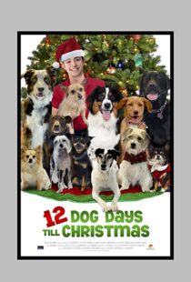 دانلود فیلم 12 Dog Days Till Christmas 2014100712-72226989
